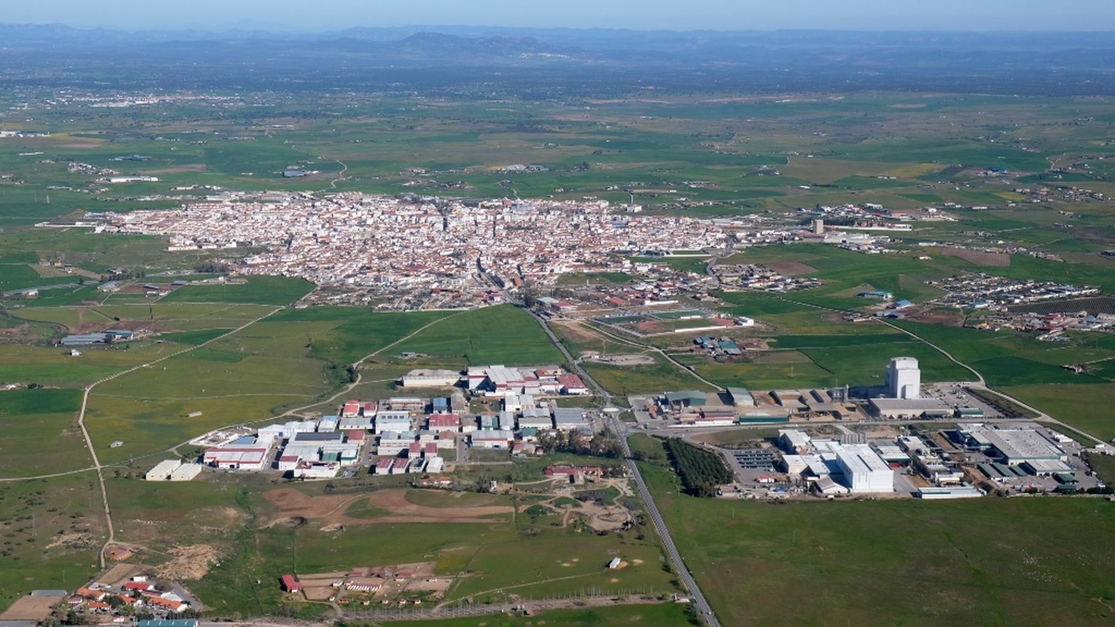 Vigorra pozoblanco
