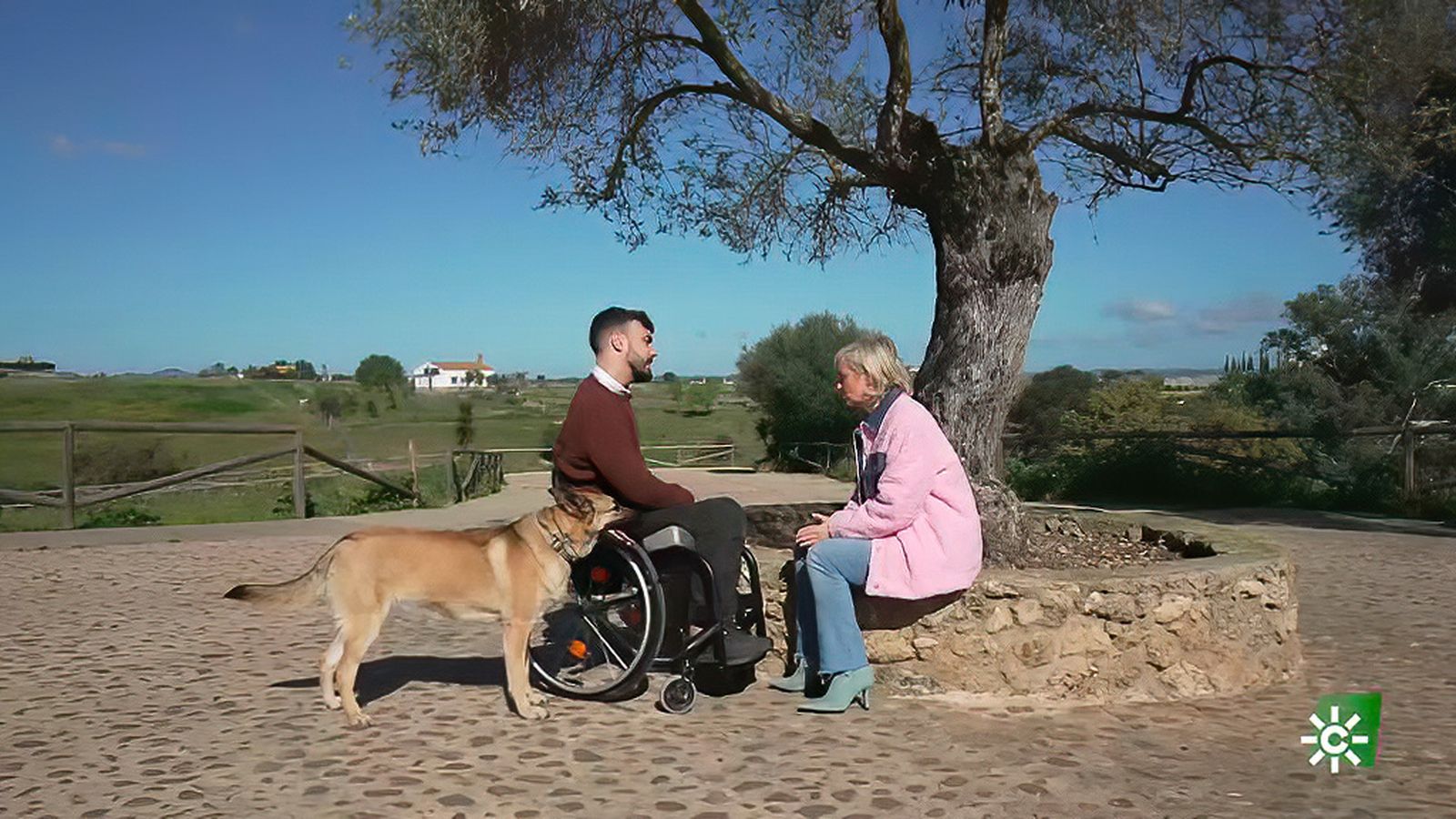 Summer, la perrita a la que Luippi rescató de la carretera y le cambió la vida