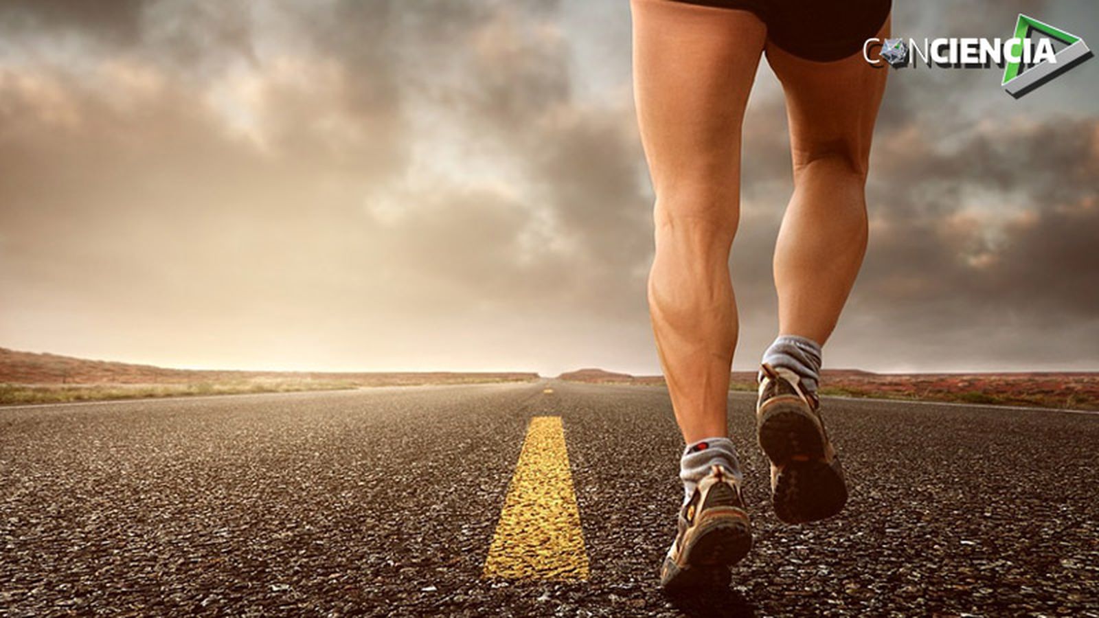 800x450 Conciencia (deporte)