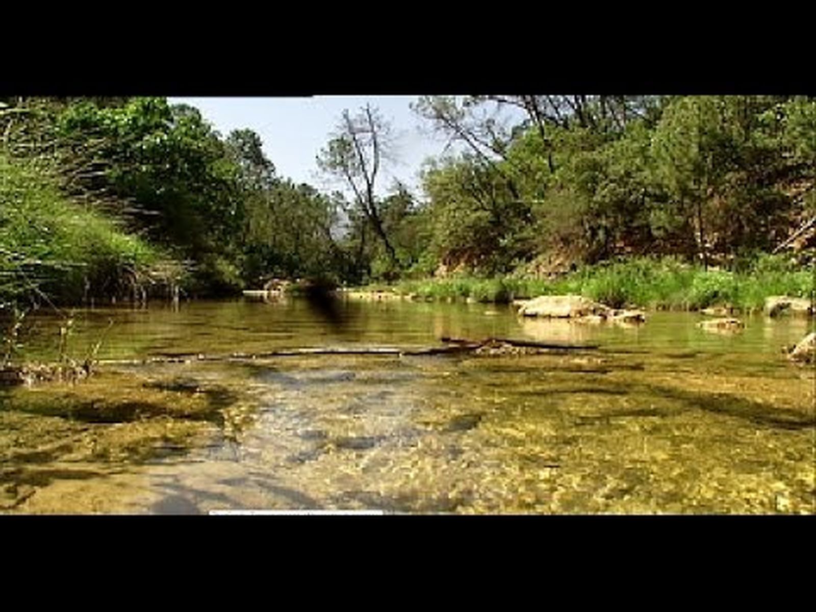 Río Guadalquivir, polémico traspaso de competencias a Andalucía