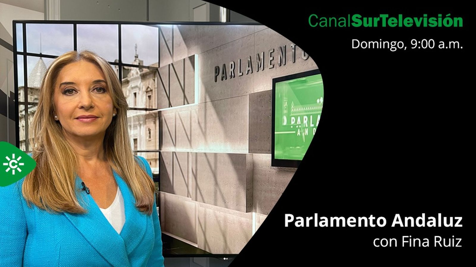 Comunicación Parlamento Fina
