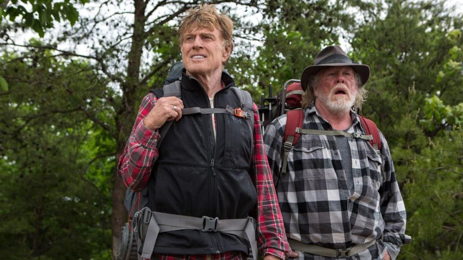 Cine, Un paseo por el bosque, 28 septiembre