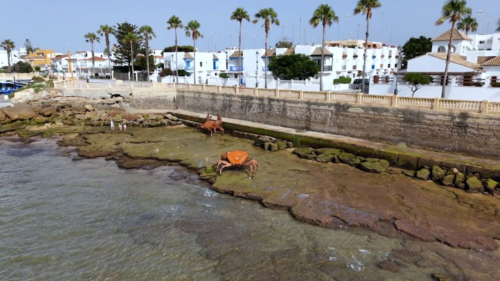 A toda costa Chipiona cangrejos Tapa