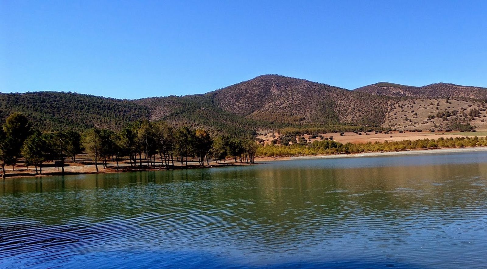 Pantano de Cogollos 1024