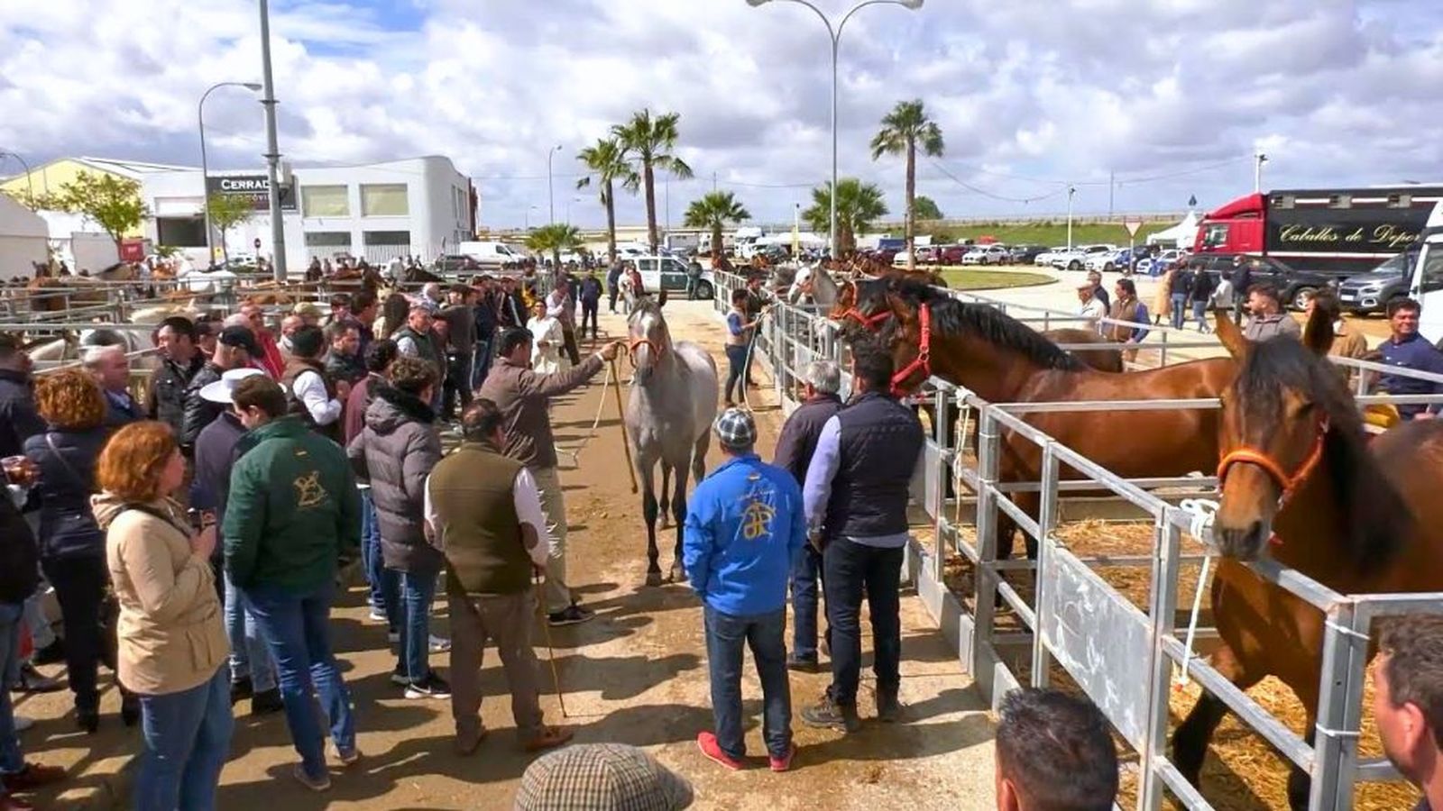 Tierra y Mar 12 abril