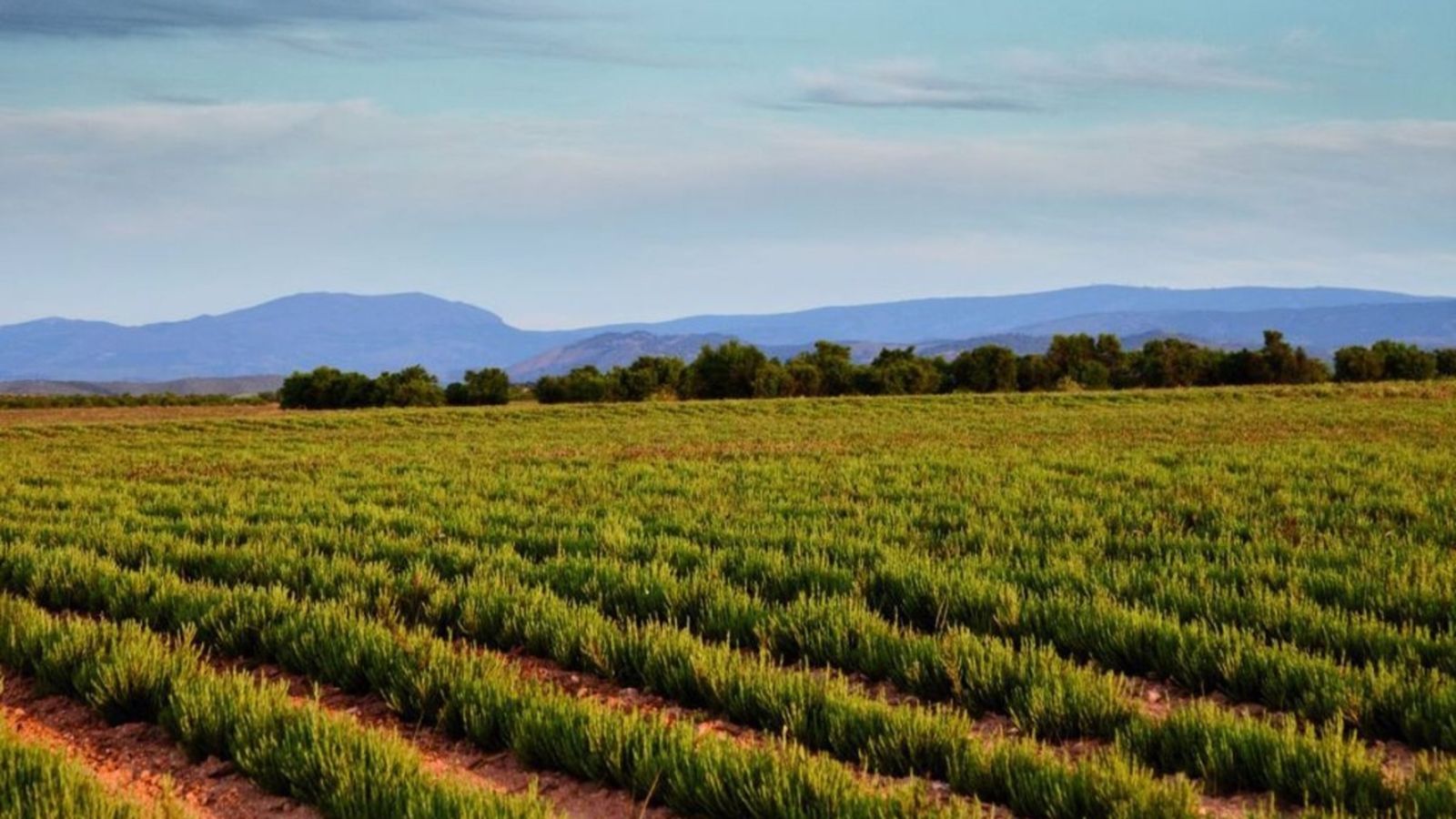 Cambio Climático recursos naturales