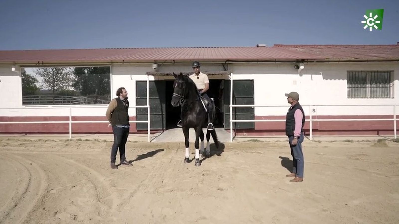 Yeguada Cordales en Todo Caballo