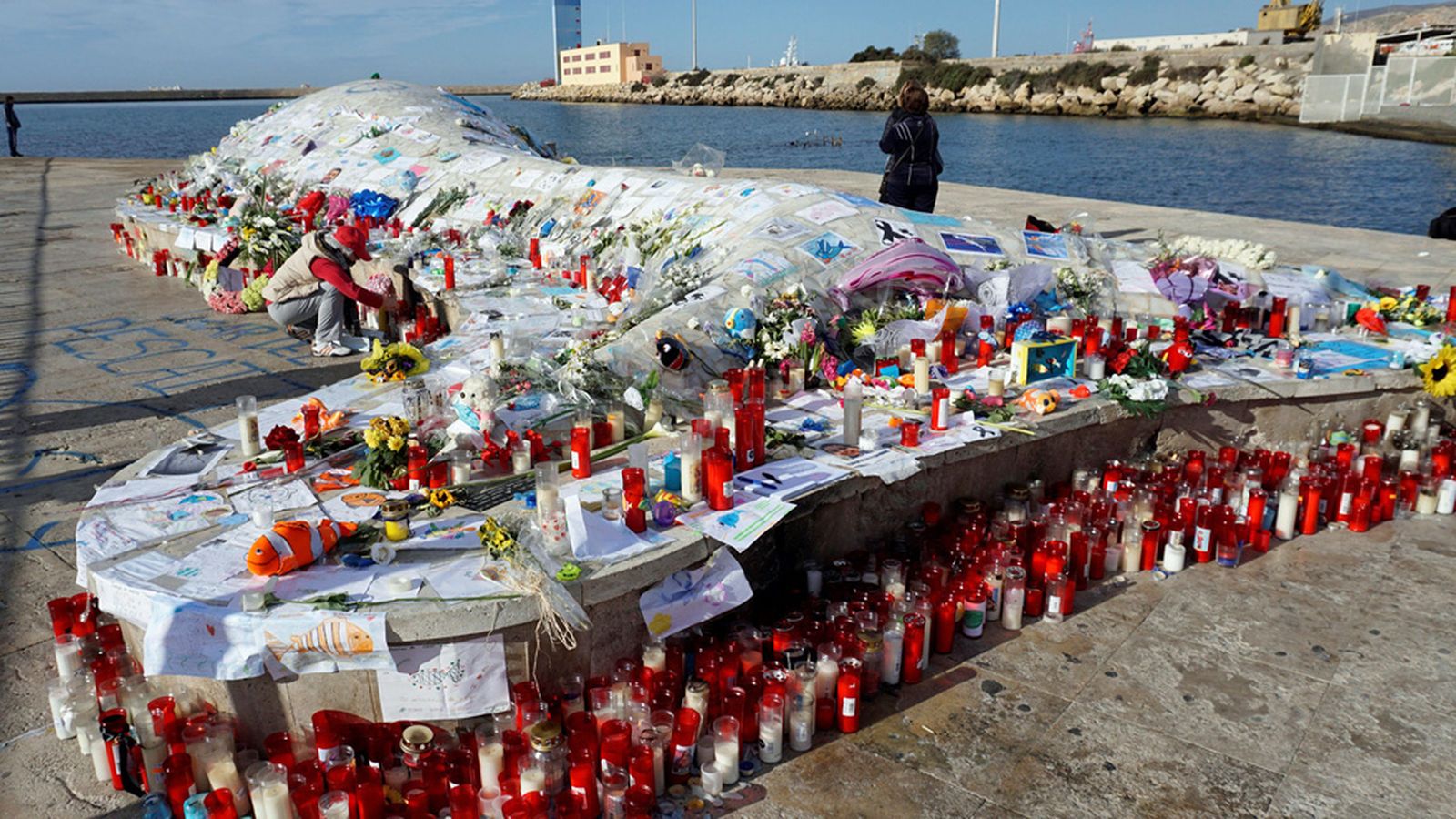 tapa ballena solidaria gabriel 1024