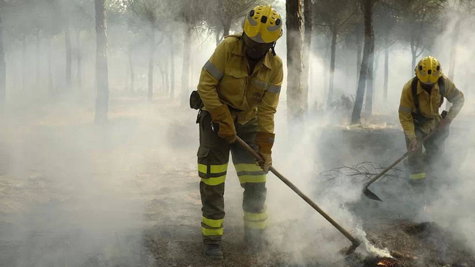 800x450 Tierra y Mar (Incendio Doñana 1)