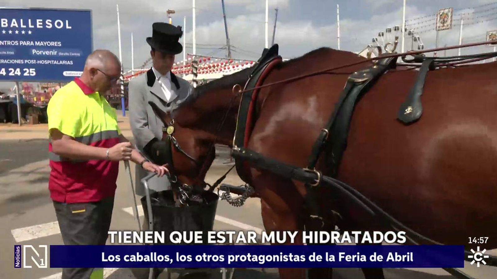 La Unidad de Asistencia Veterinaria vela por el bienestar de los caballos en la Feria