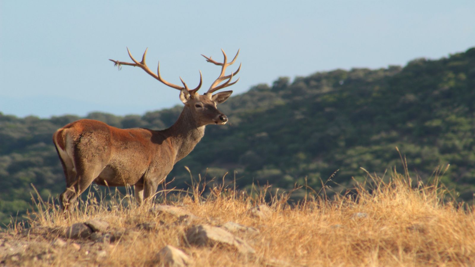 Andalucia es naturaleza, 14 septiembre
