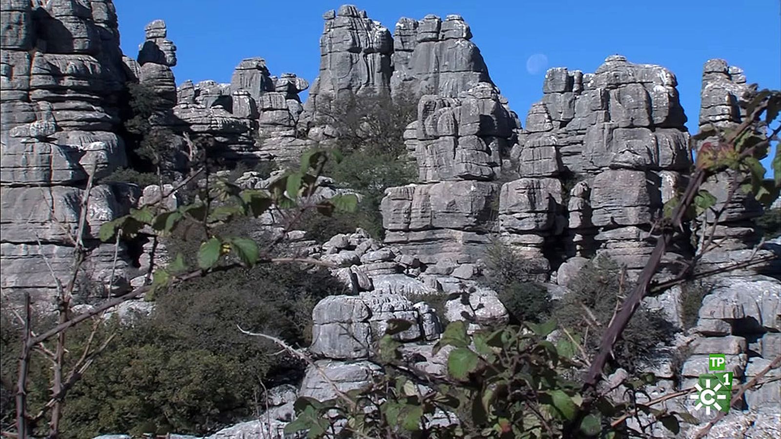 destacado torcal salud al dia