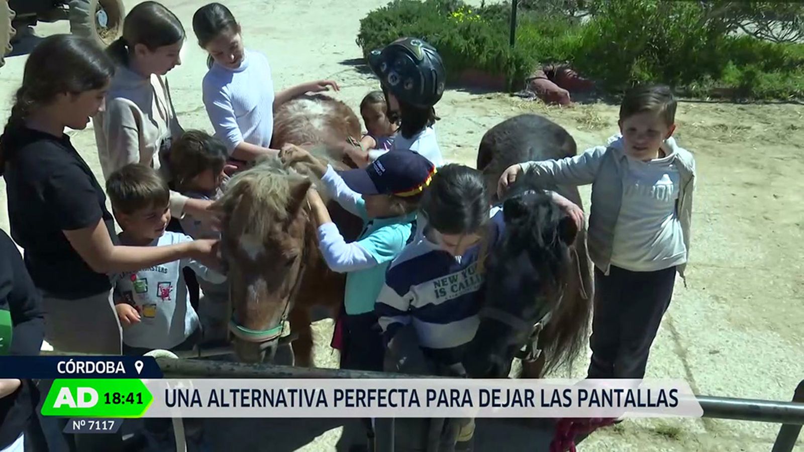 Campamentos de Semana Santa, los niños cambian las pantallas por los animales y la naturaleza