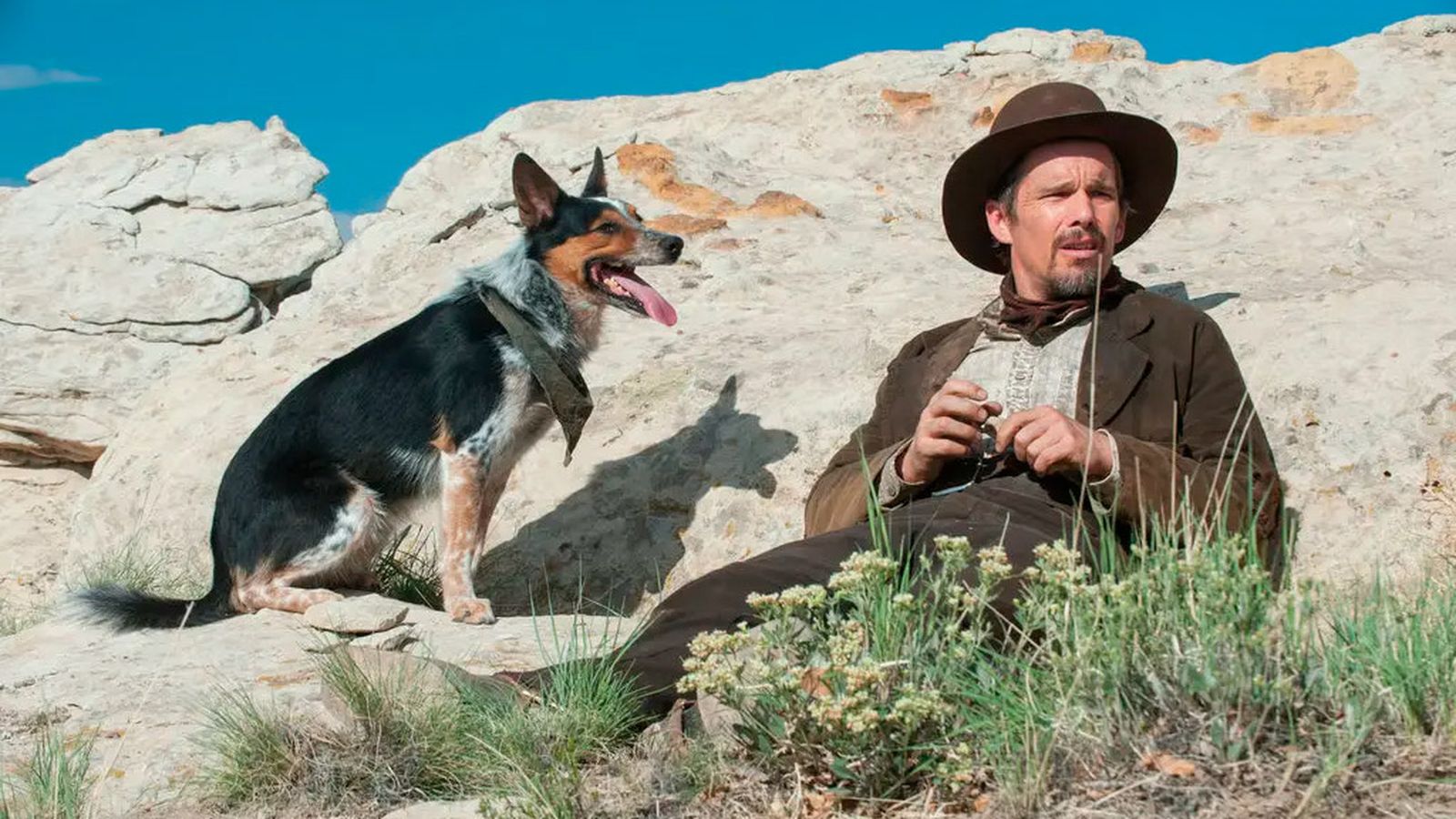 Cine, El valle de la venganza, ATv