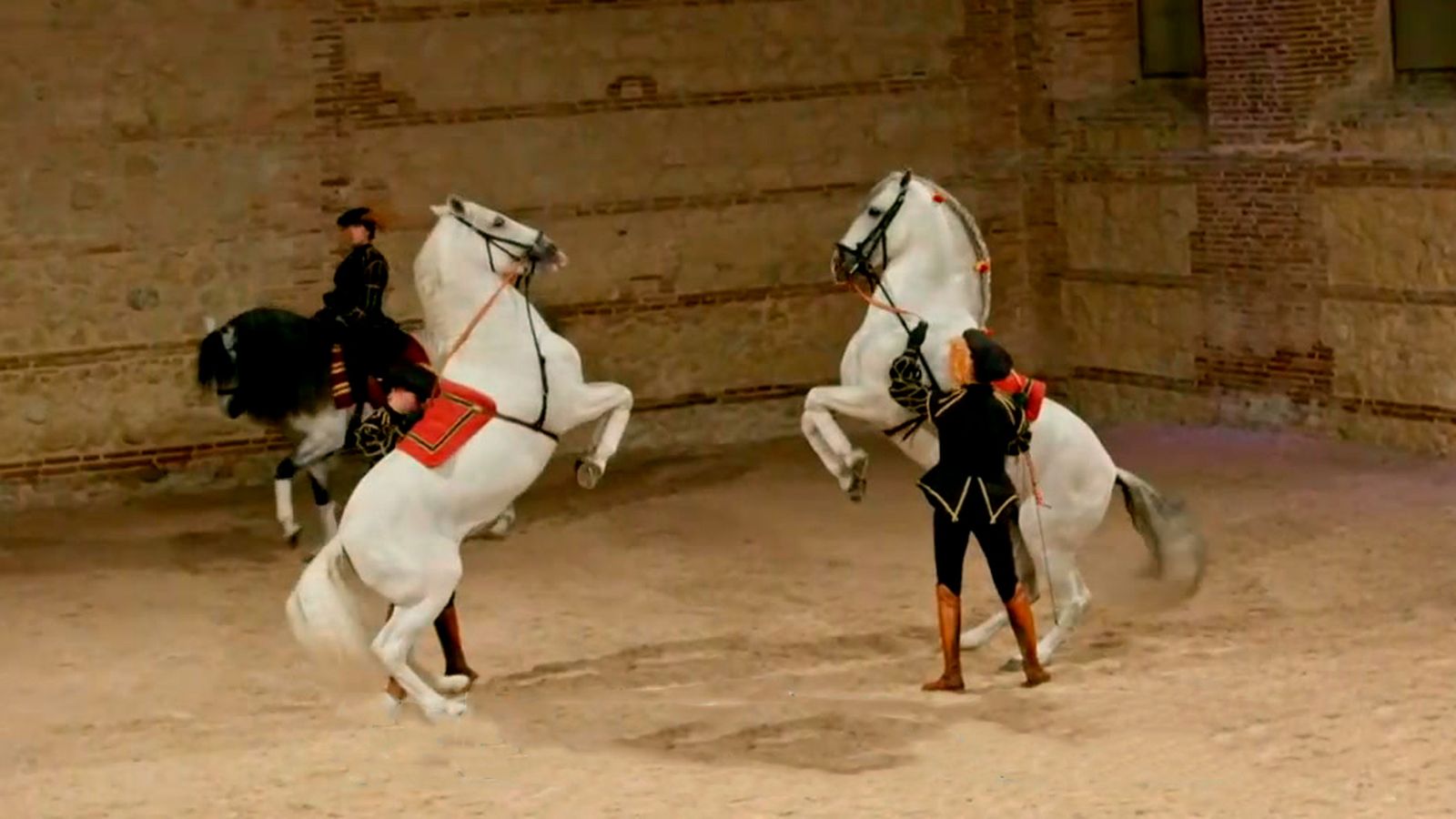 Caballerizas Reales de Córdoba, la catedral para los caballos