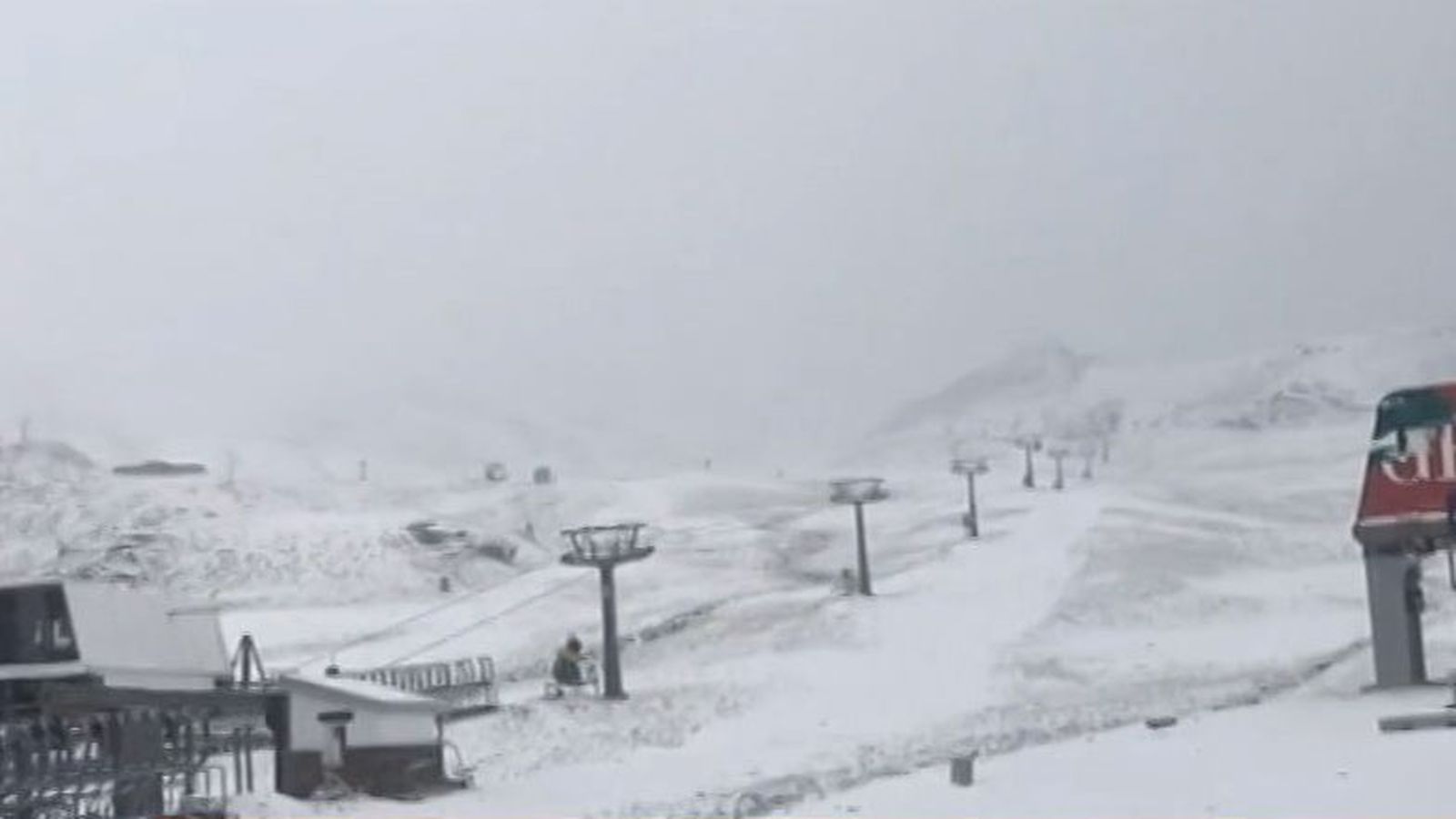 nieve