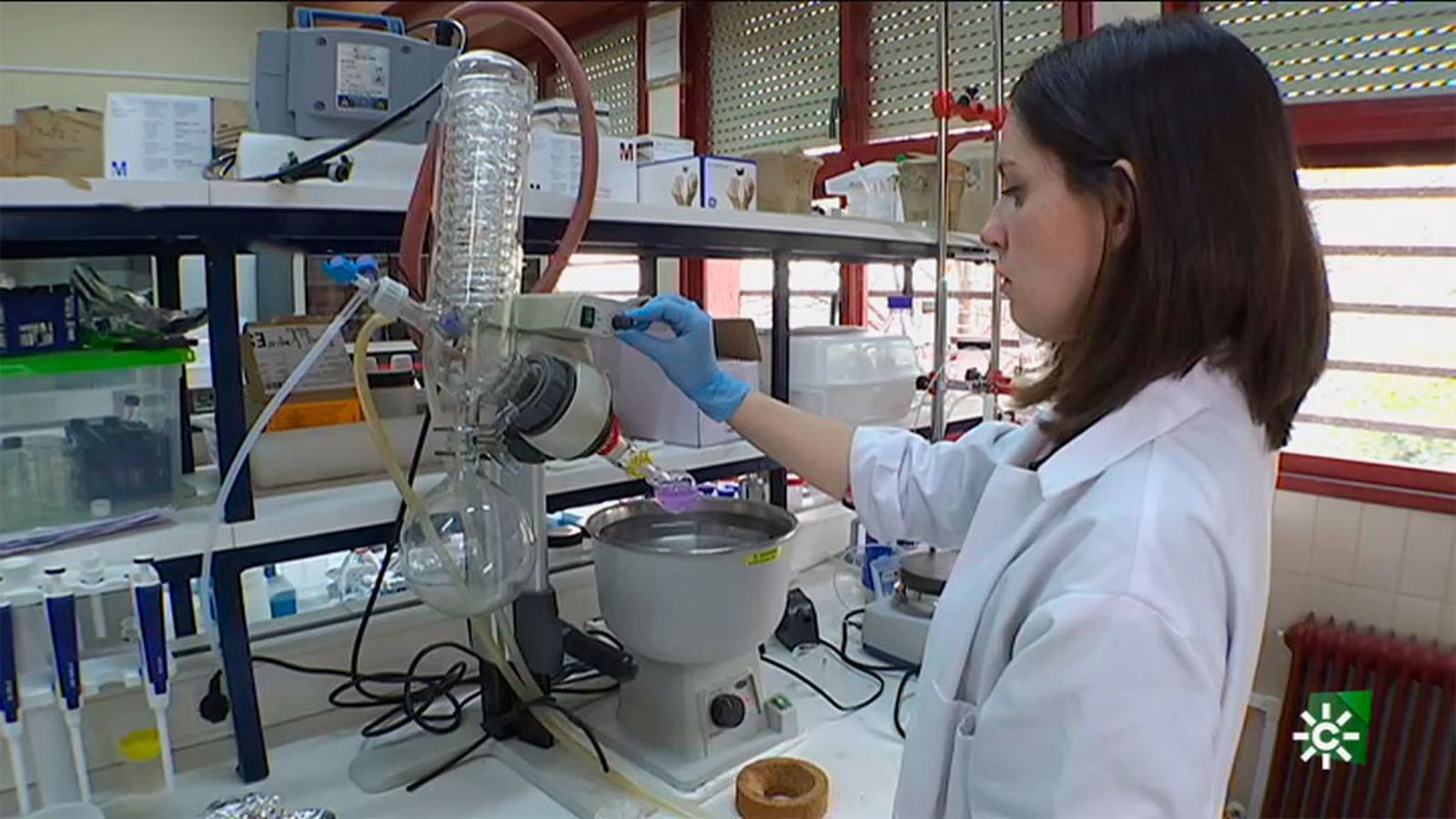 Nanocápsulas de aceite de oliva cargadas de fármacos para luchar contra el cáncer