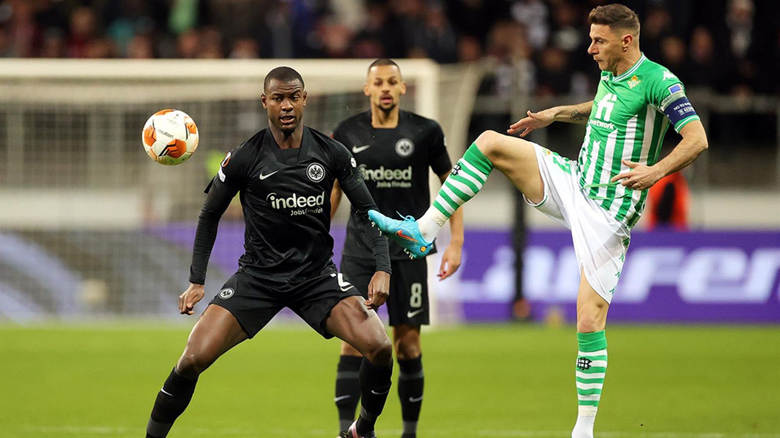 tapa betis