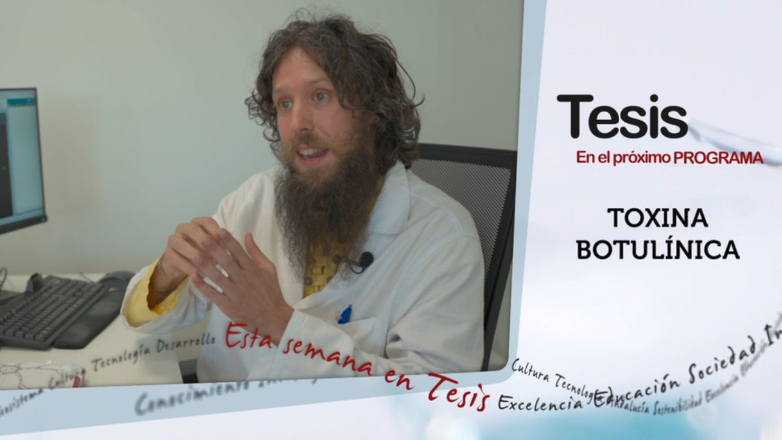 tesis canal sur