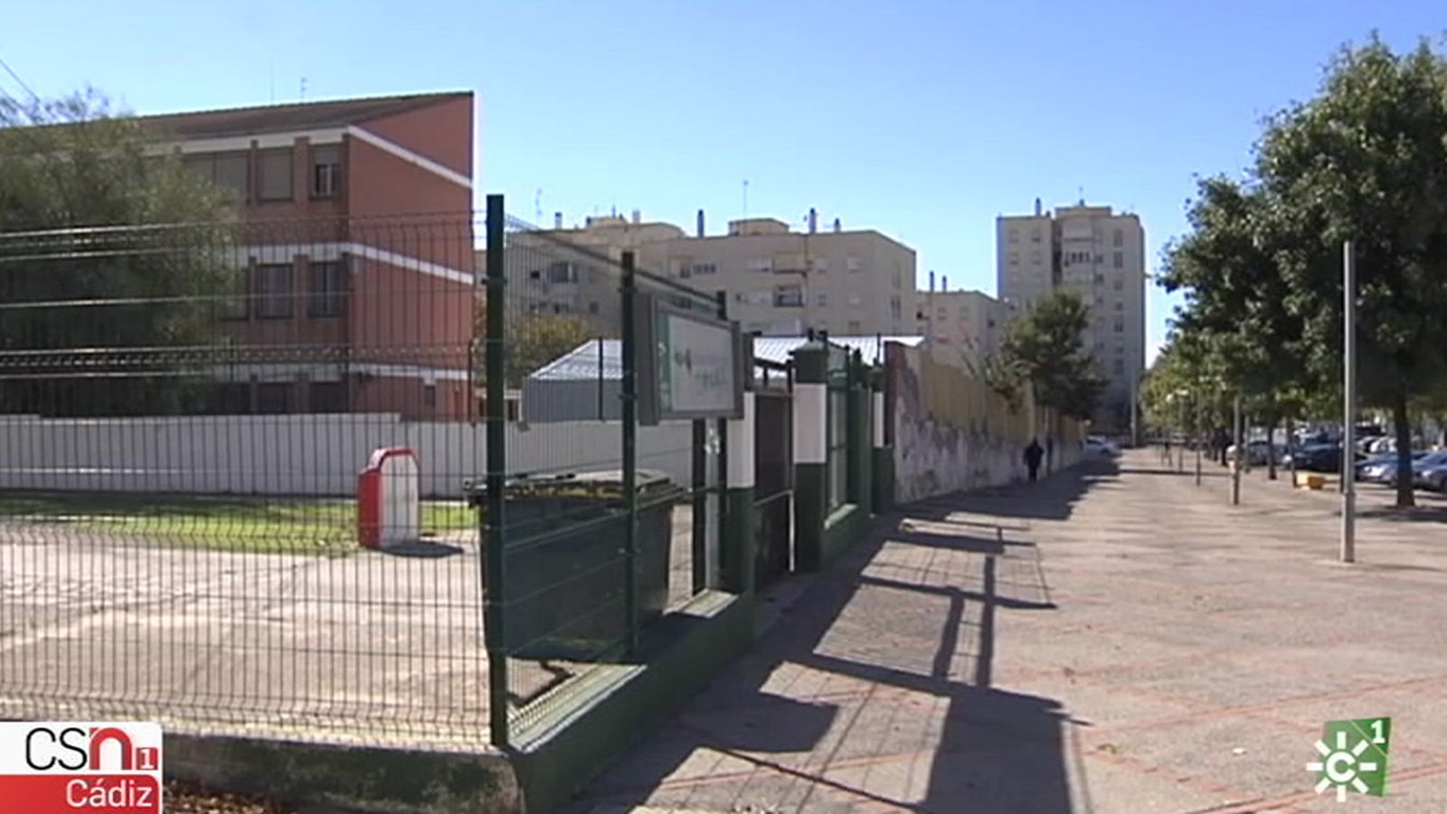 Pulgas instituto Jerez 1024