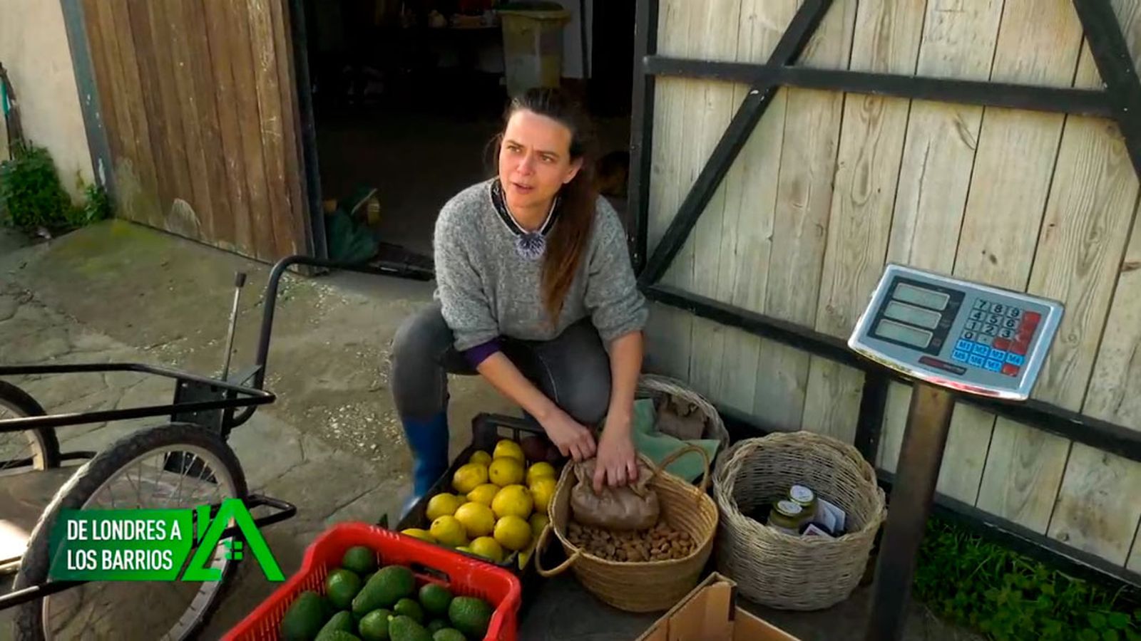 En Los Barrios dirige una finca ecológica y de corriente regenerativa de aguacates y limones