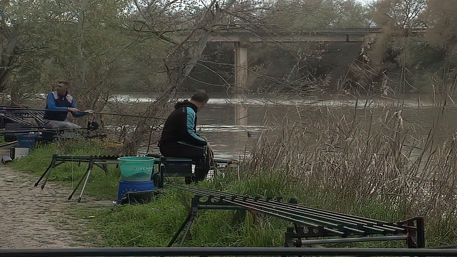 Competición de pesca en agua dulce en Villaverde del Río