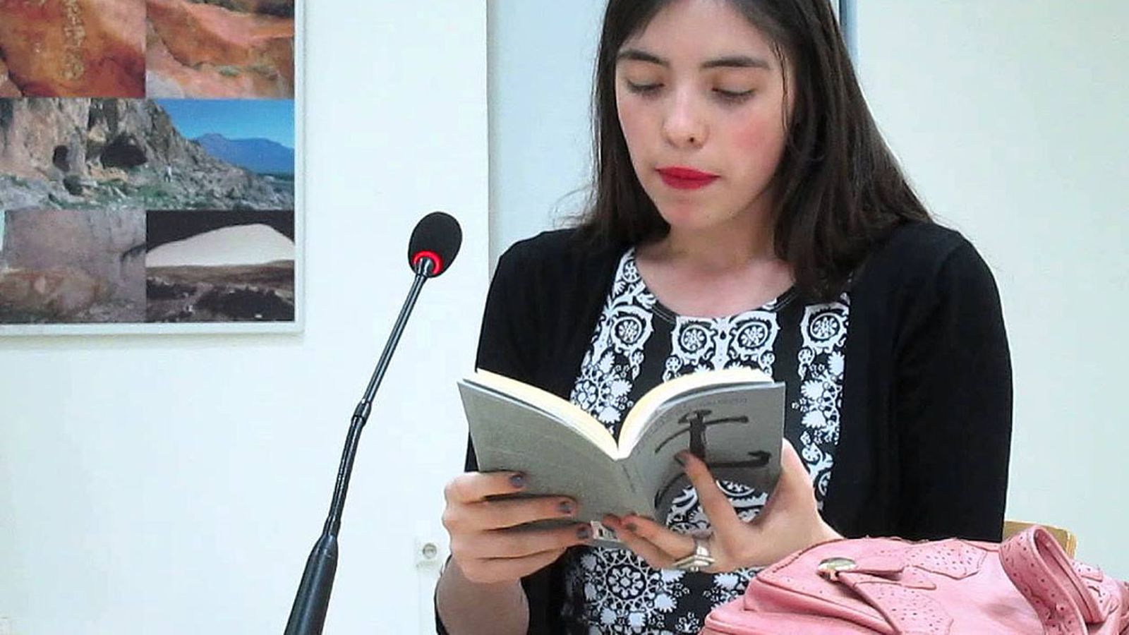 Comunicación Al Sur