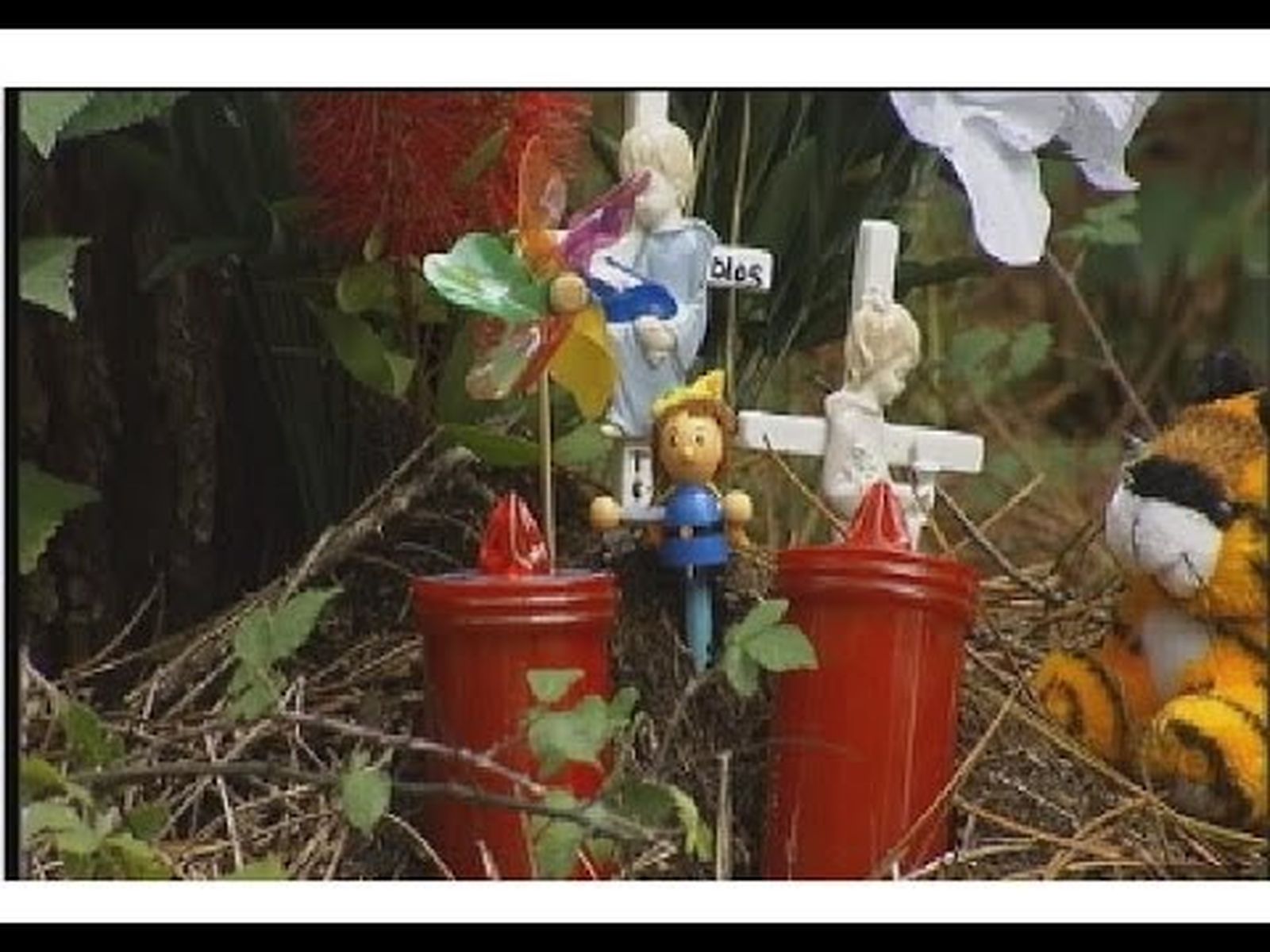 Asesinato de Asunta Basterra (2013)