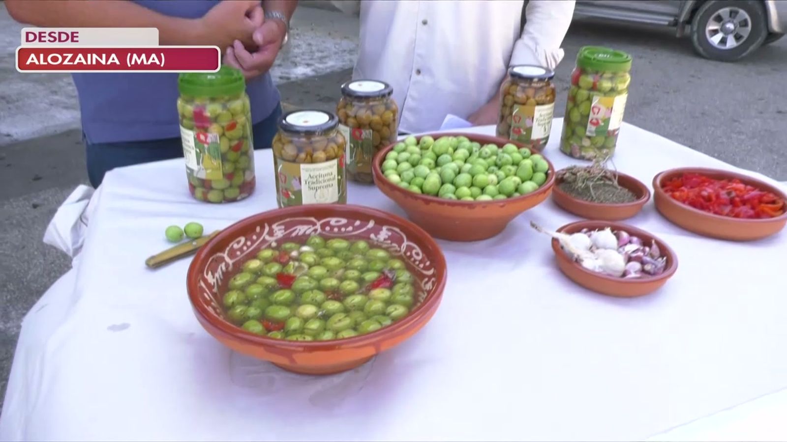 Recogida a mano y macacos, así se mima la delicada aceituna Aloreña en Málaga