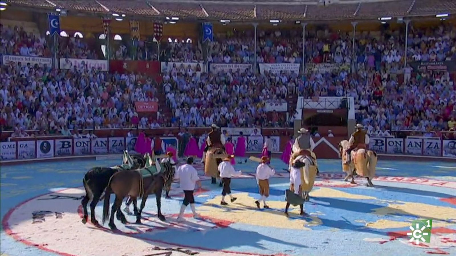 Toros Corrida Magallanica TV a la carta