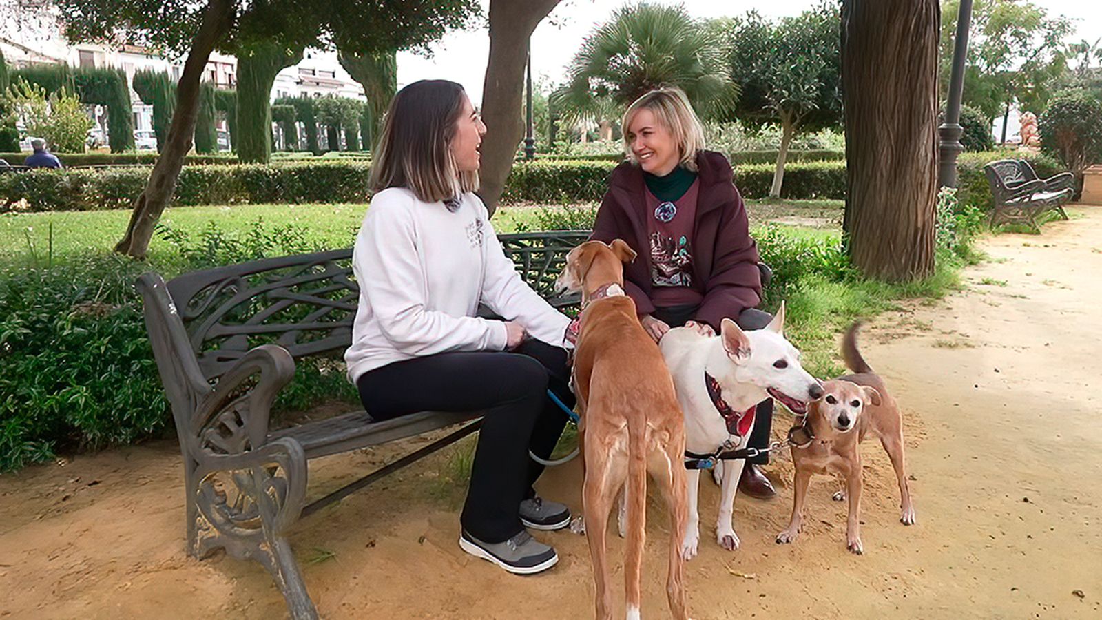 ¿Qué tiene que ver la perrita Jimena con el Camino de Santiago?