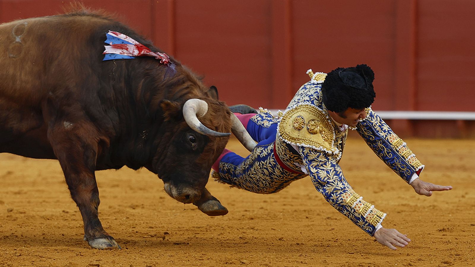 Clandestino cornea a Morante