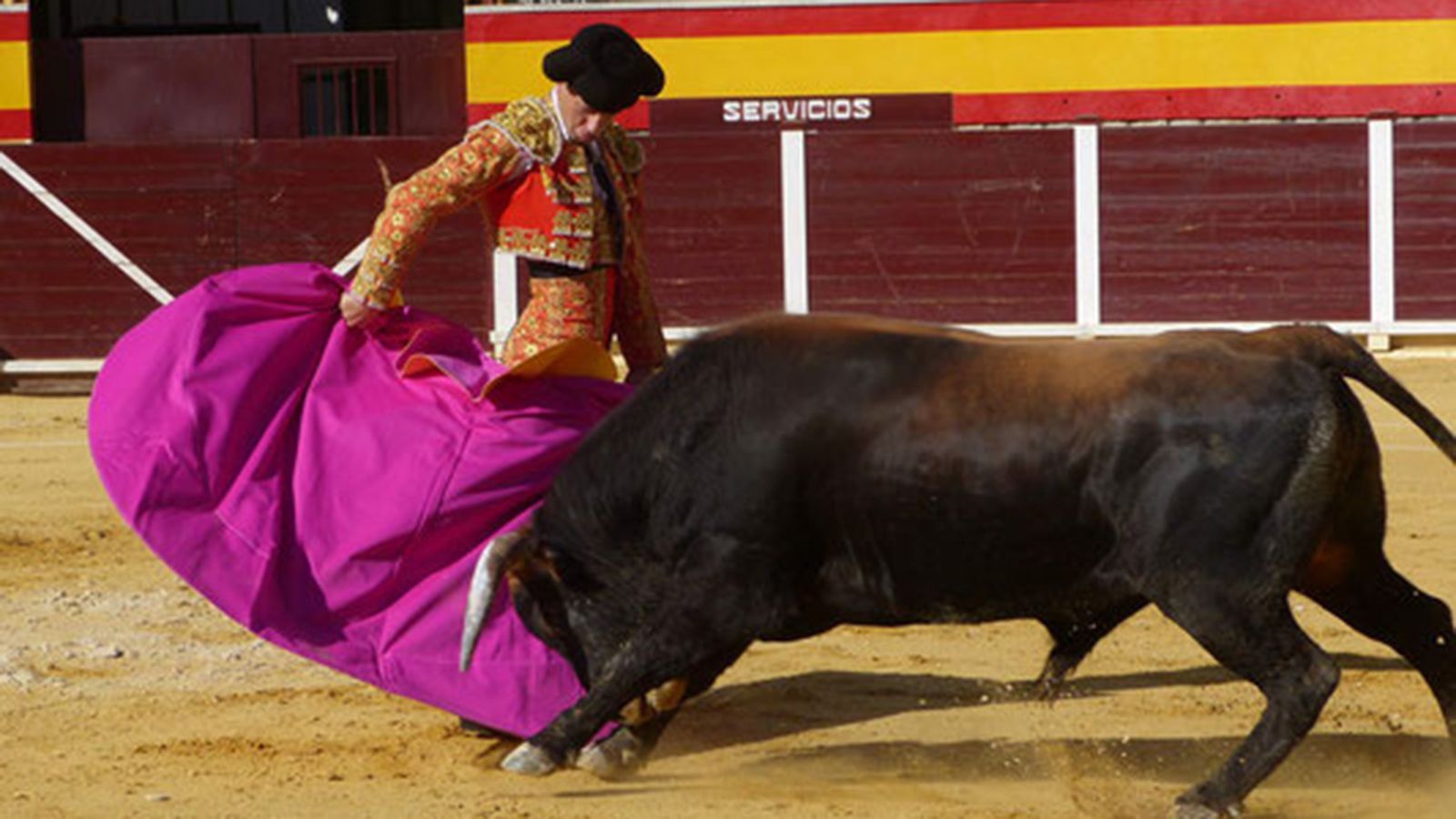 Novillada | 21 julio  (comu)