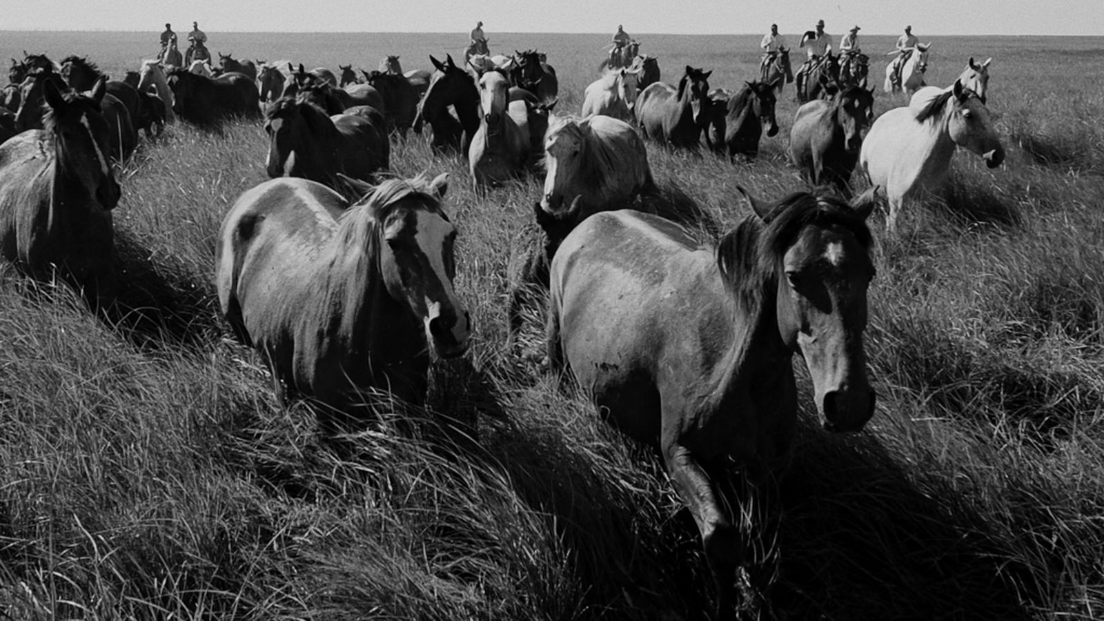 Documental La Marisma 3