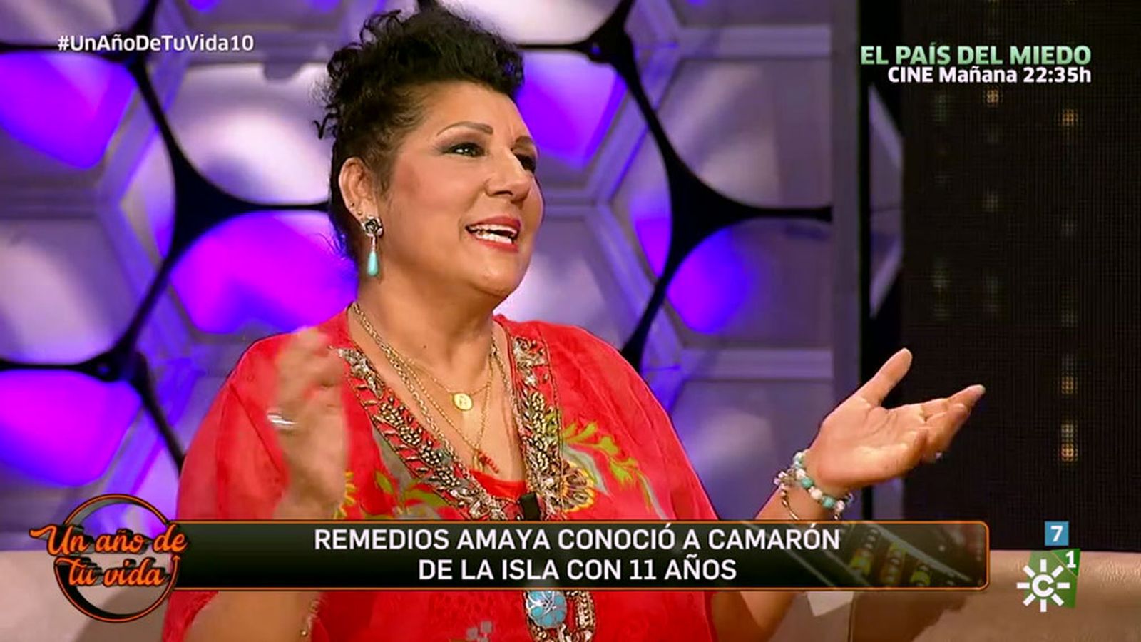 Un año de tu vida (Remedios Amaya)