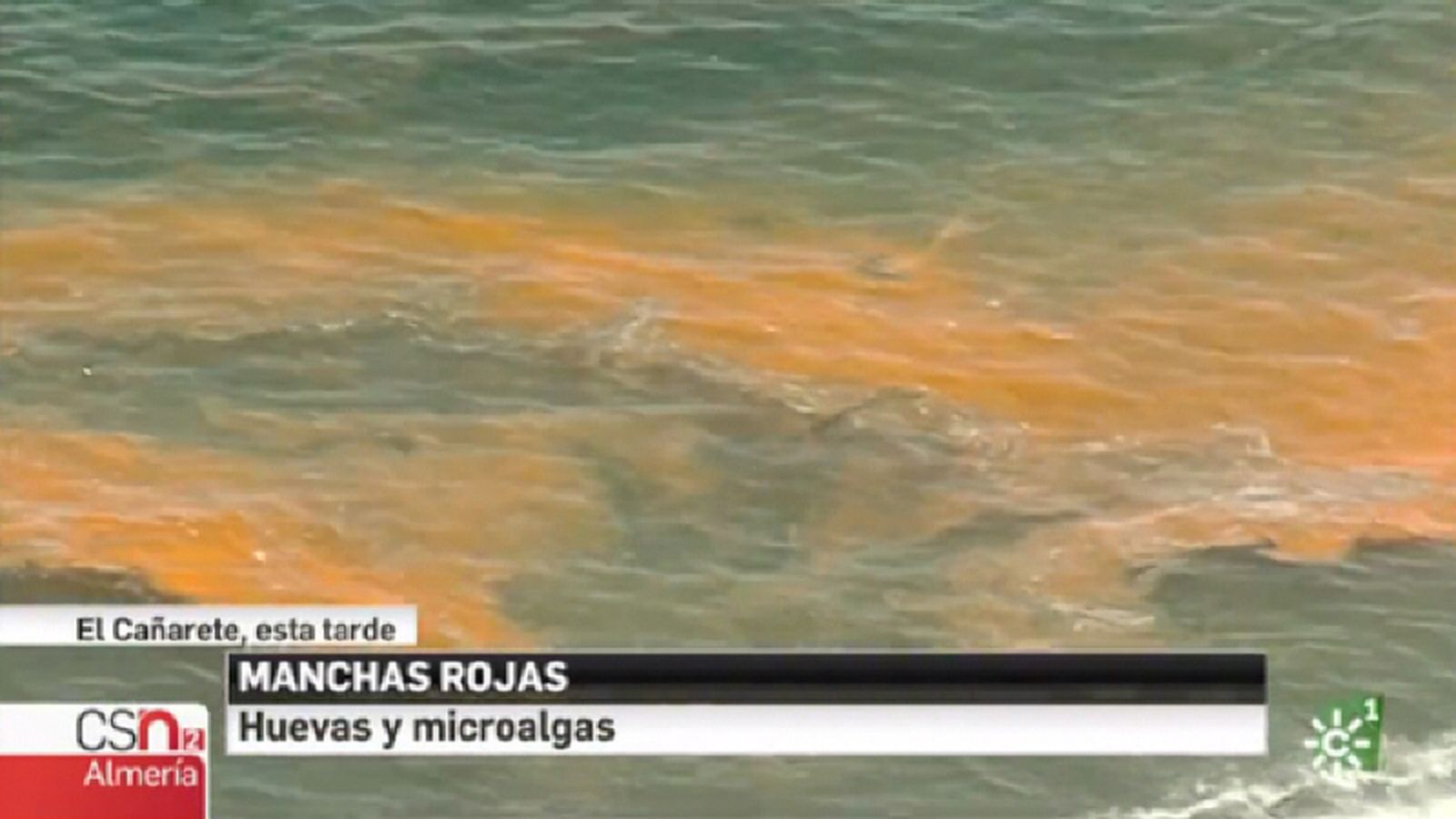 marea