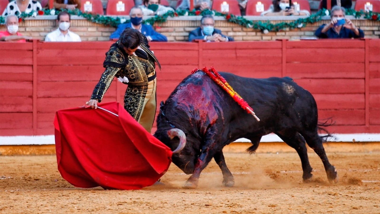 Toros Ciclo novilladas generica 4