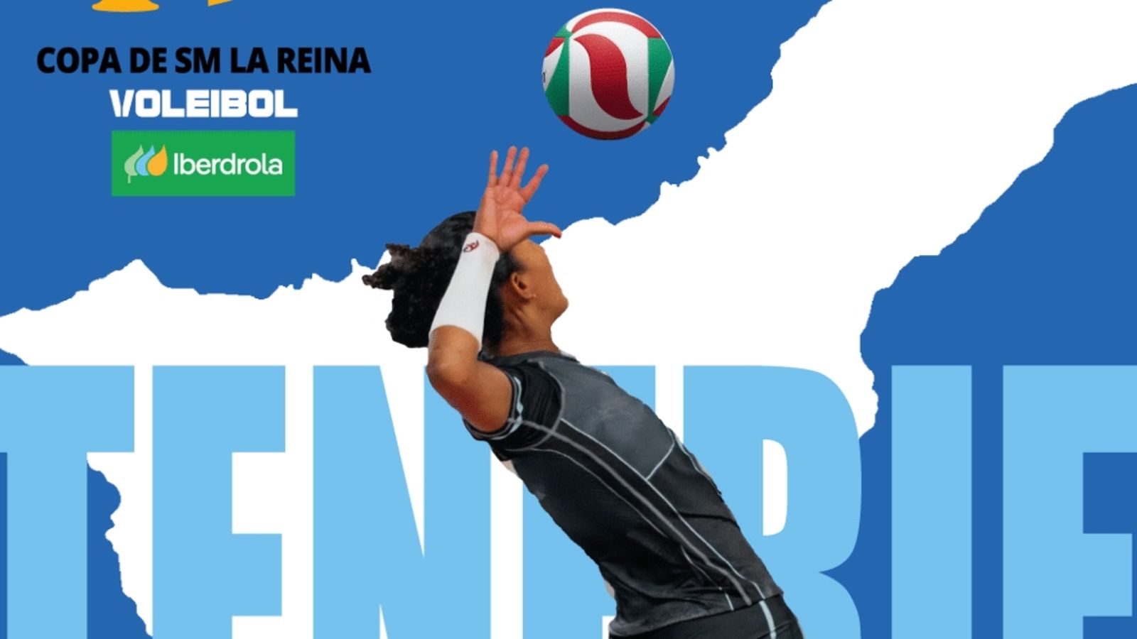 Copa SM La Reina voleibol cartel