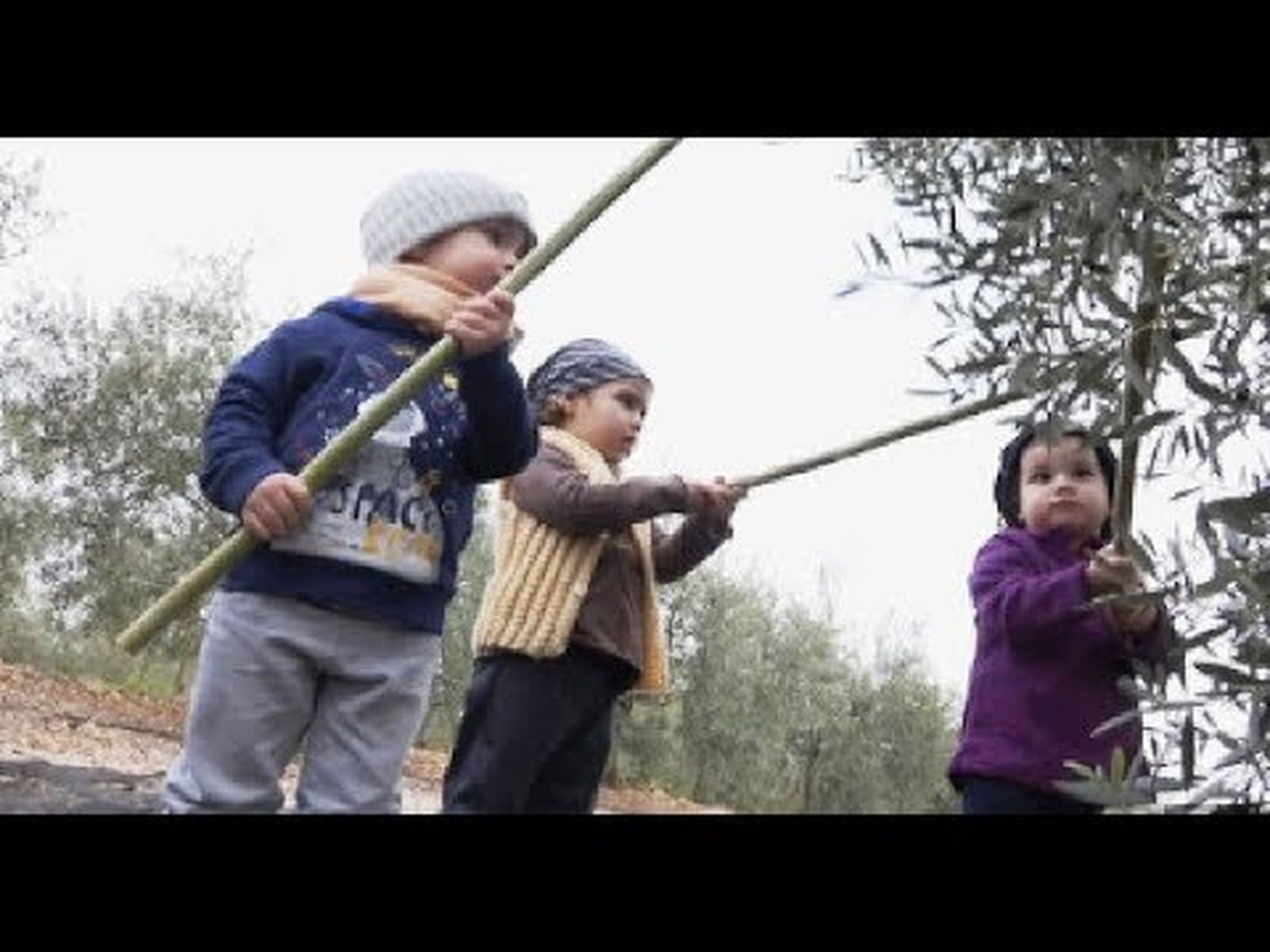 Villancico de Canal Sur con los niños de Fuente Palmera (Córdoba)
