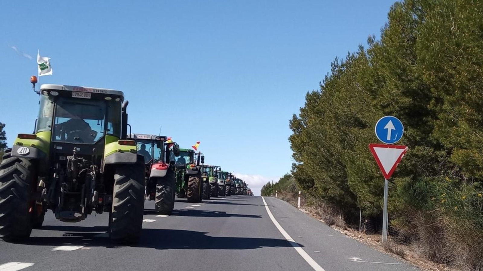 Despierta Andalucía movilizaciones campo andaluz