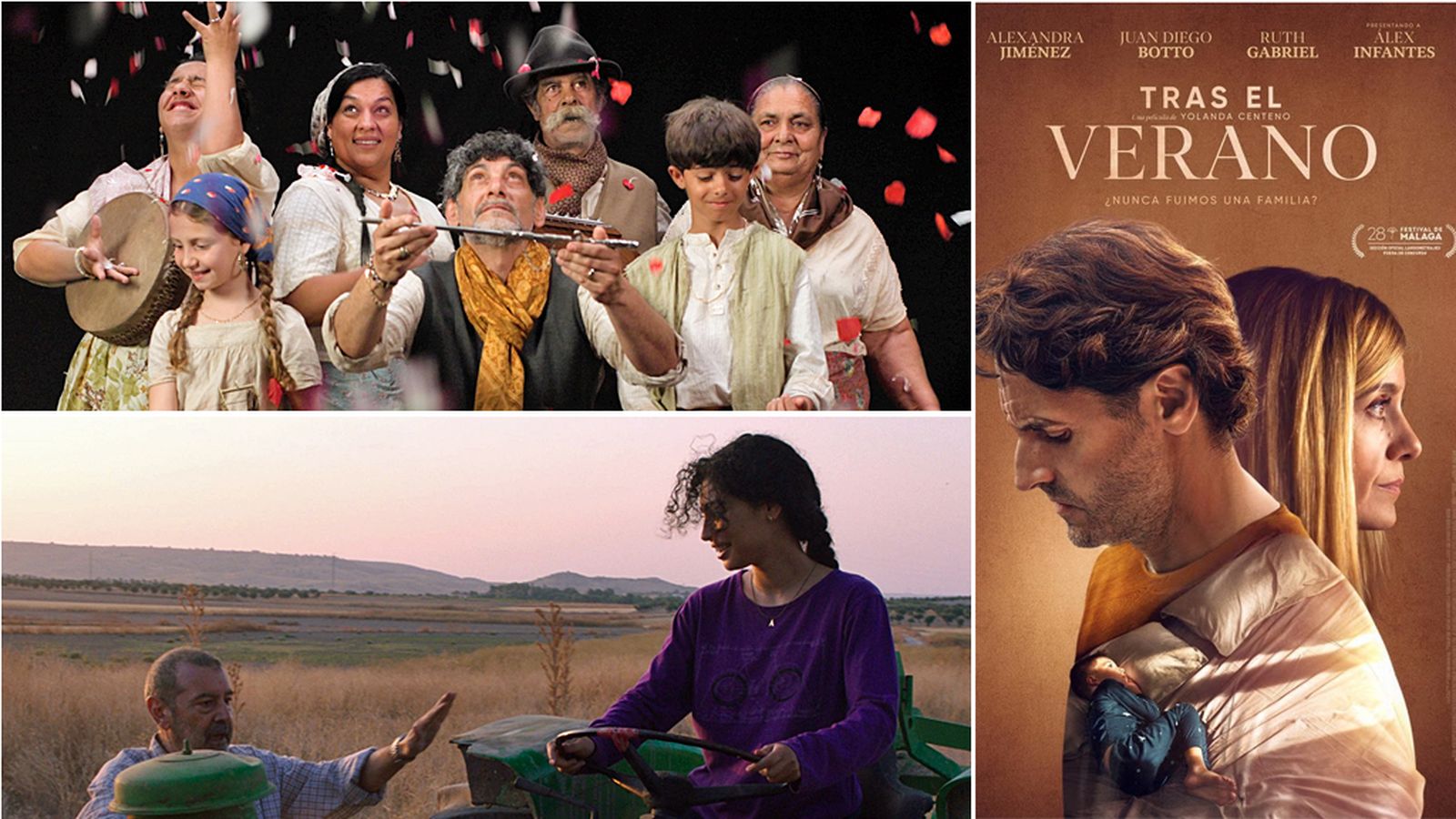 FESTIVAL CINE SEVILLA PELÍCULAS PARTICIPADAS