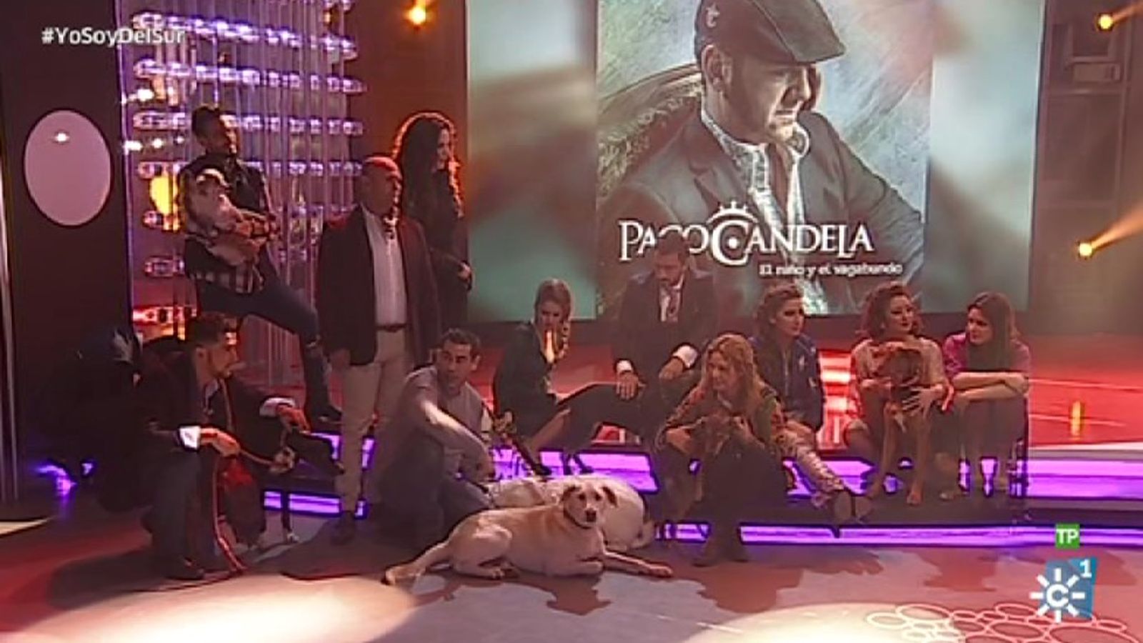 Yo soy del Sur Gala 31 Paco Candela