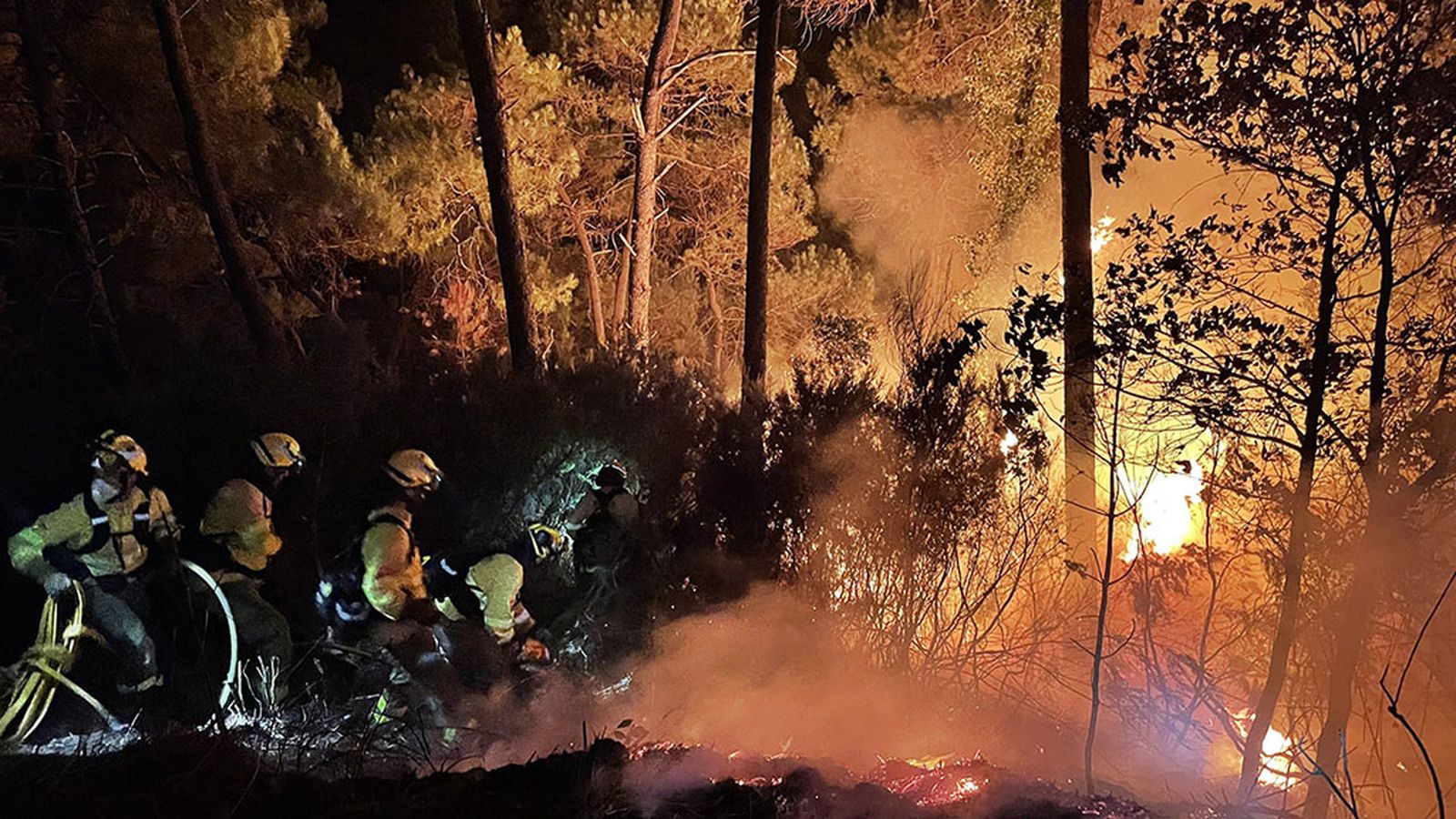 Incendio en Sierra Bermeja