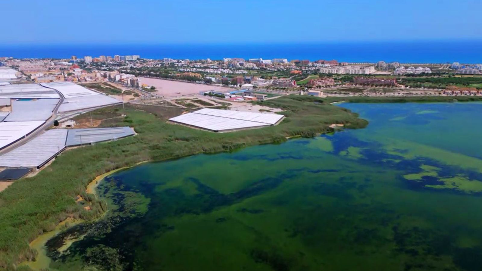 Roquetas de Mar, ruta de sabores entre lonja y mercado