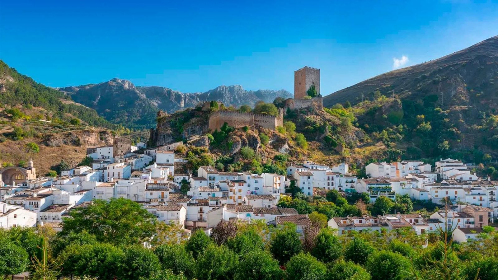 Cazorla