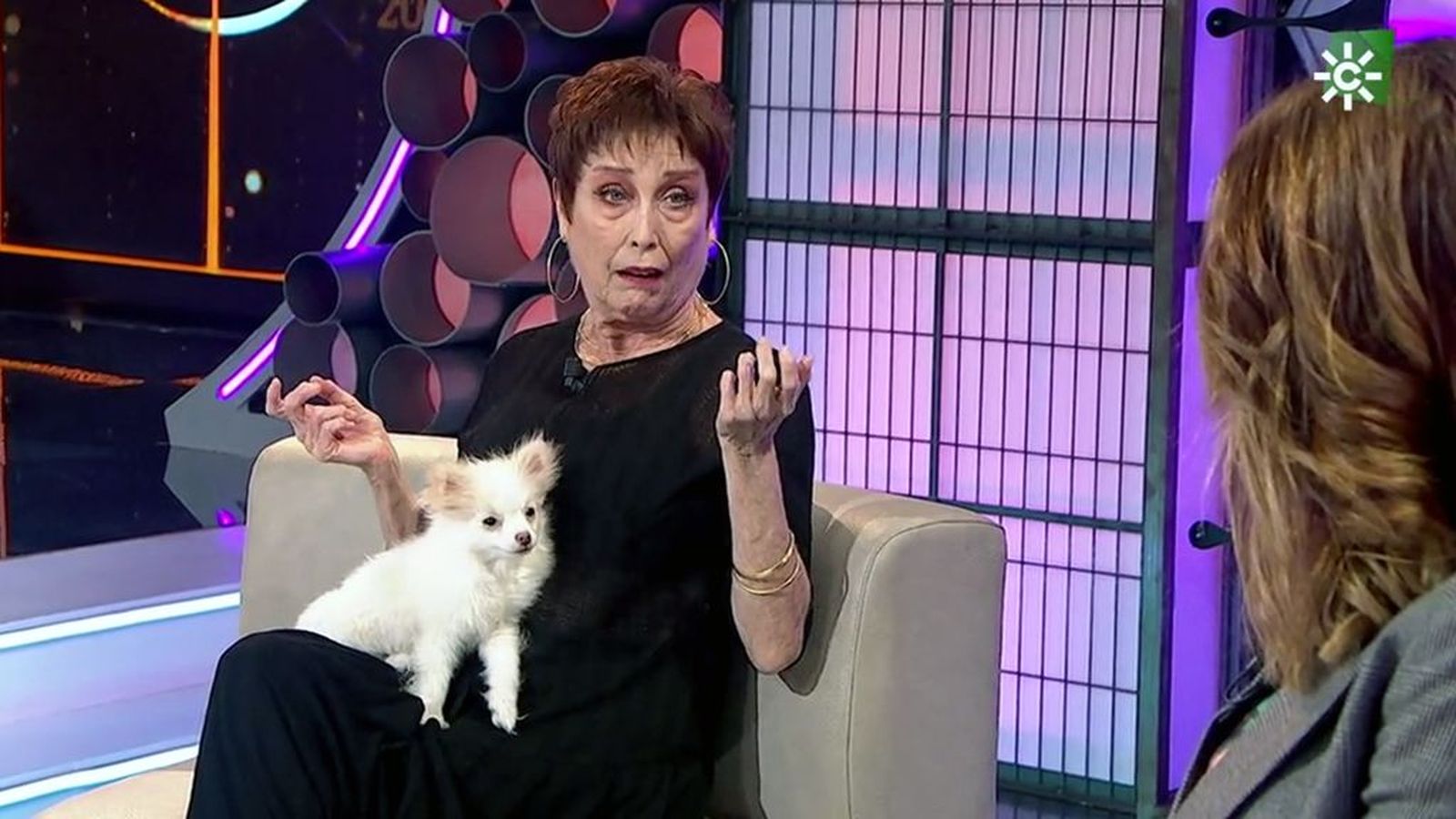 ¿Dónde guarda Verónica Forqué sus cuatro premios Goya?
