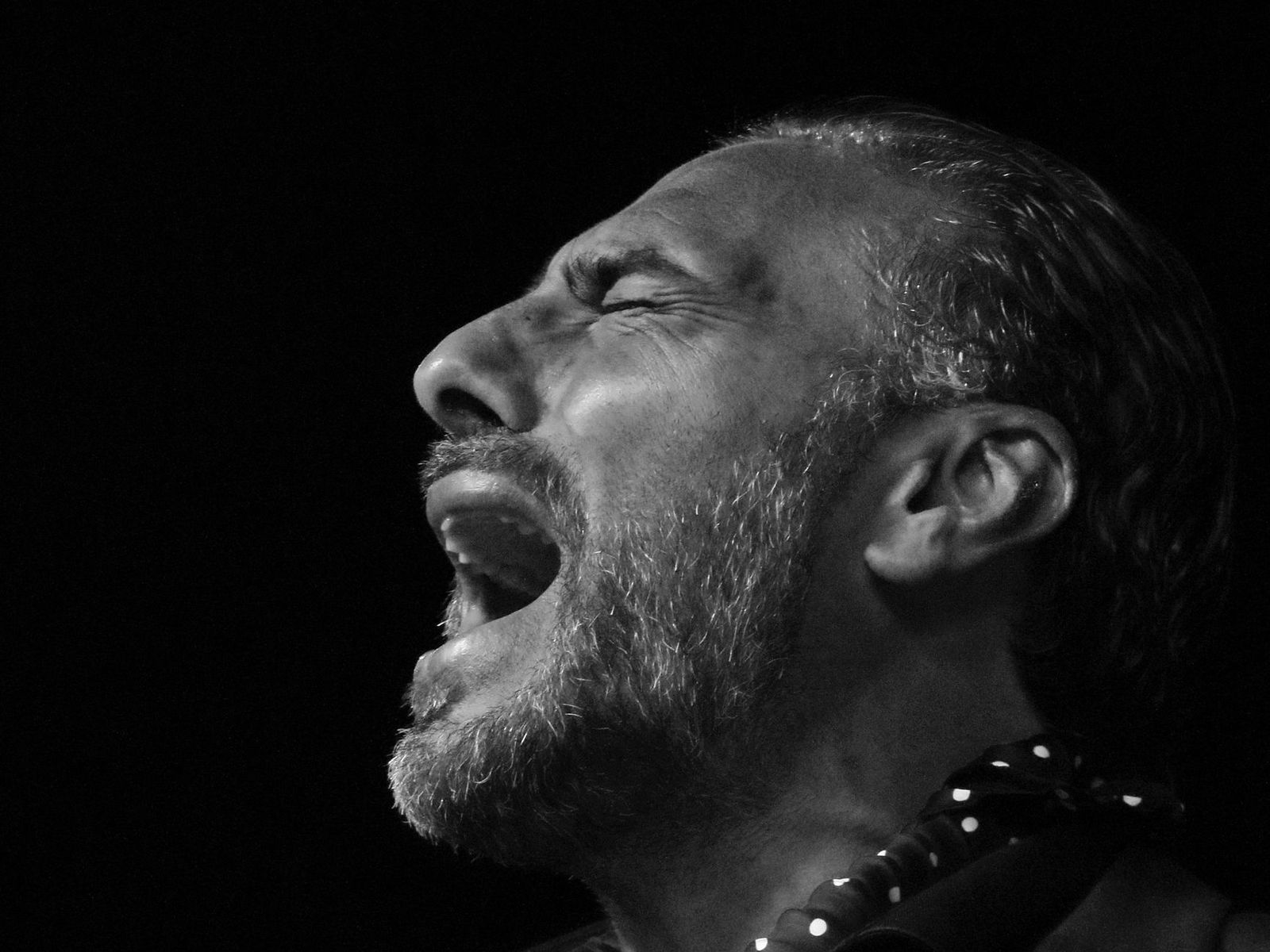 PEDRO EL GRANAÍNO