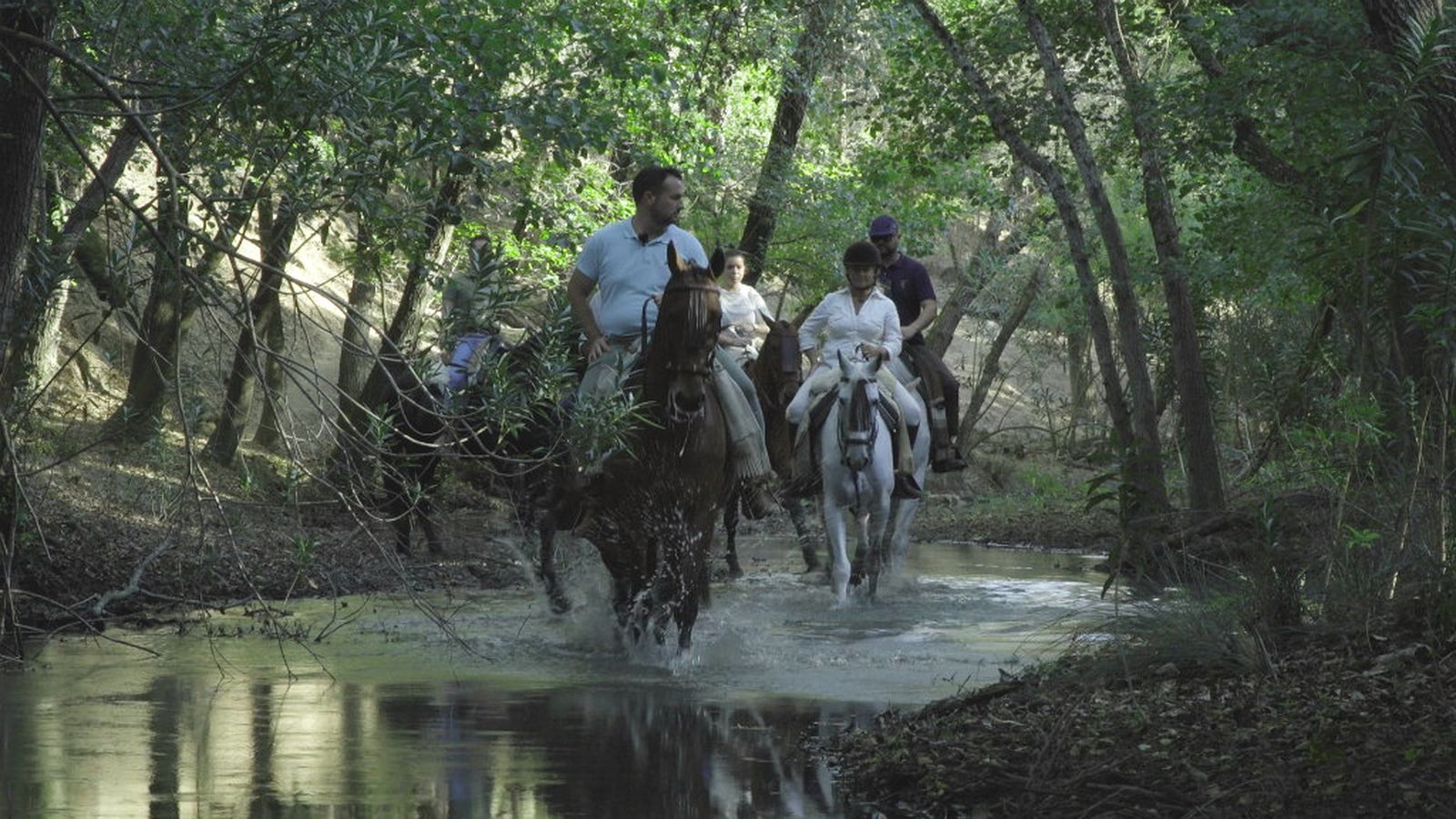 todo caballo