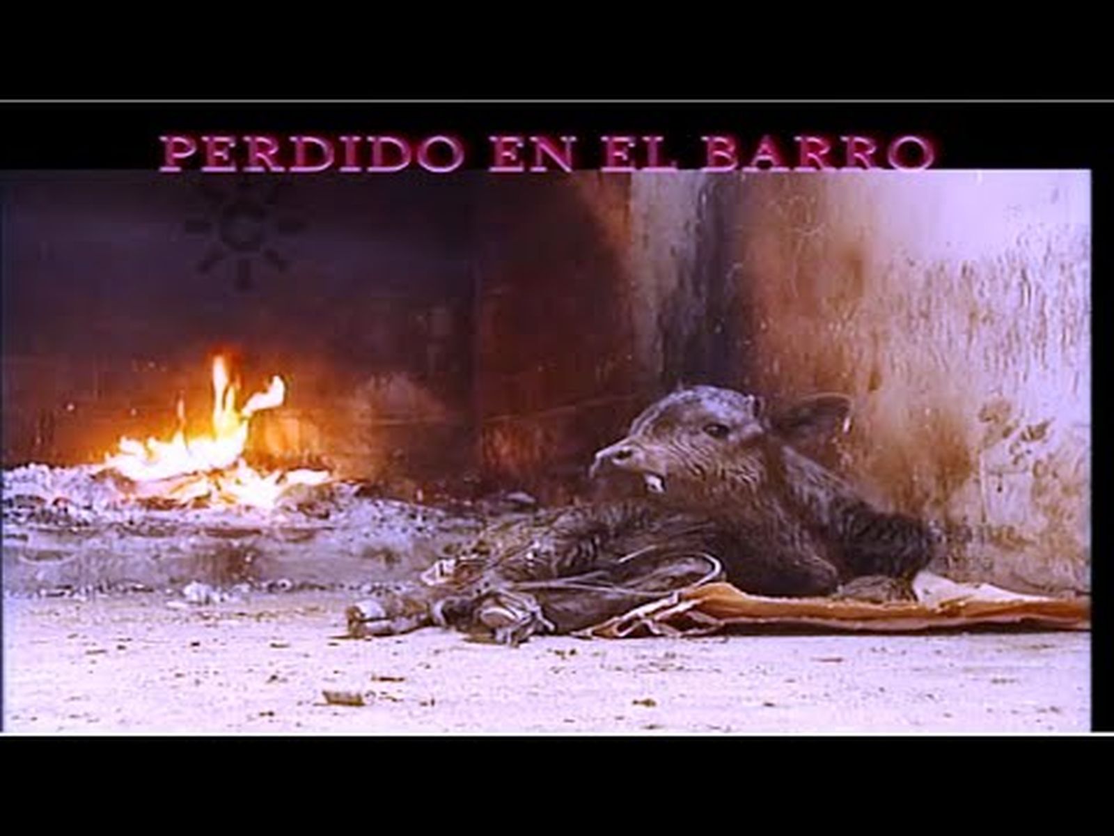 Becerro rescatado del barro
