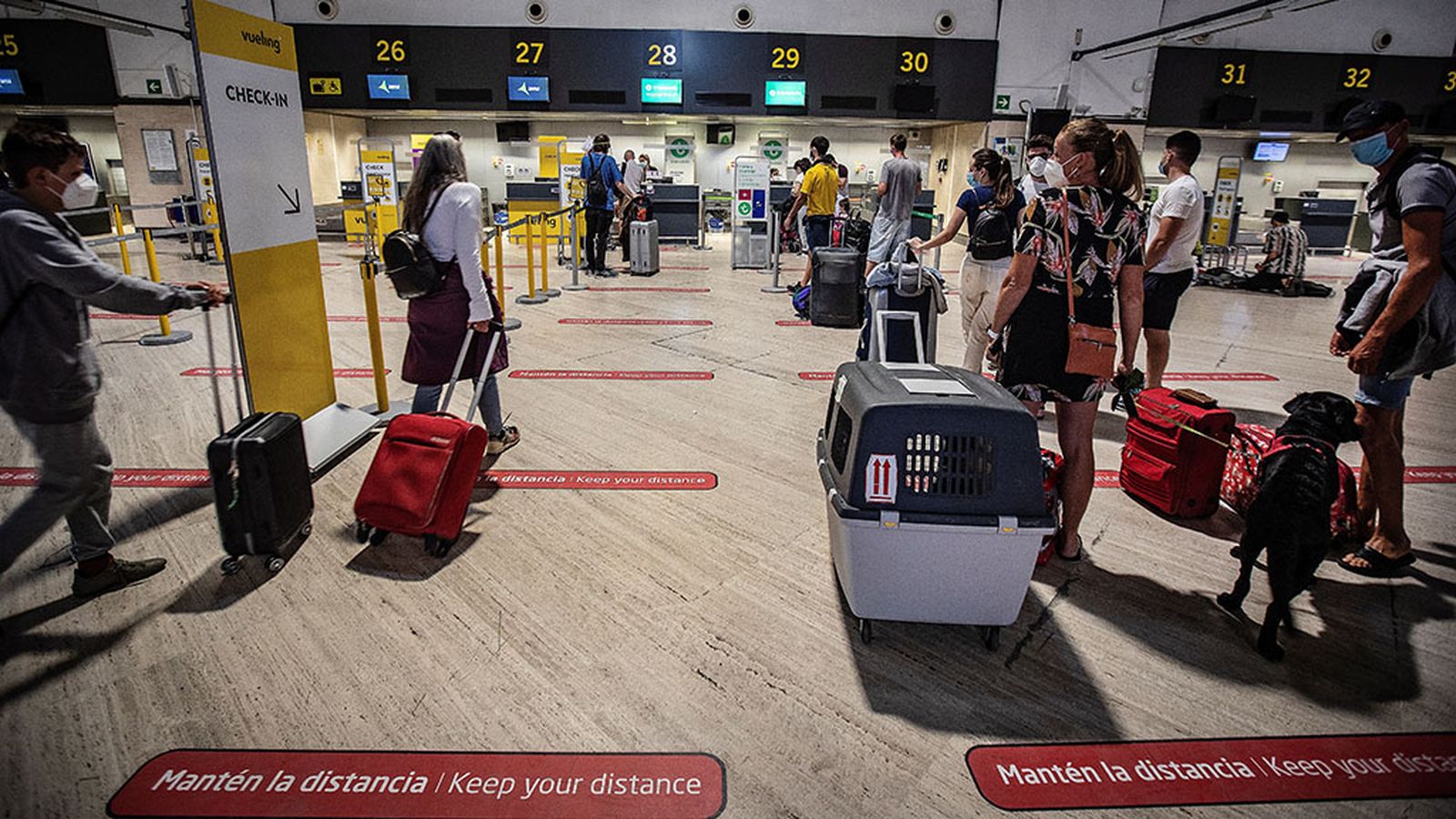 aeropuerto de sevilla mascotas
